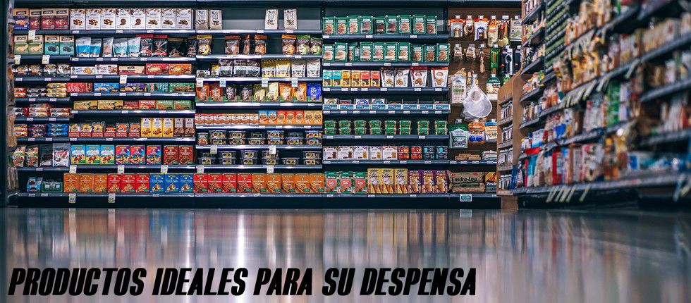 Cepillos Universales - cafeteria y despensa